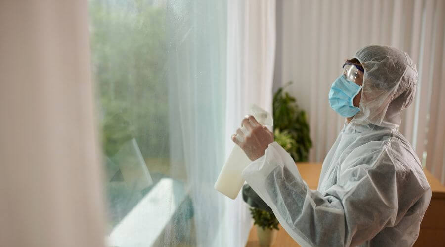 Why choose Roebuck Flea Removal for flea removal in Roebuck